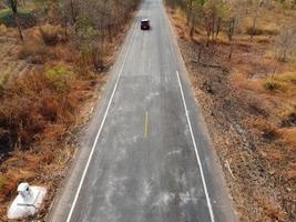 Arid yellow forest, The road in the forest was filled with trees blackened by forest fires. photo