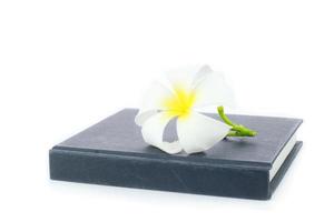 Plumeria and notebook photo