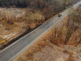 Arid yellow forest, The road in the forest was filled with trees blackened by forest fires. photo