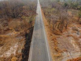 Arid yellow forest, The road in the forest was filled with trees blackened by forest fires. photo