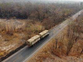 Arid yellow forest, The road in the forest was filled with trees blackened by forest fires. photo