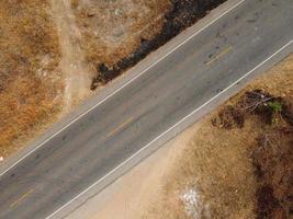 Arid yellow forest, The road in the forest was filled with trees blackened by forest fires. photo