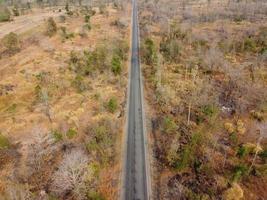 Arid yellow forest, The road in the forest was filled with trees blackened by forest fires. photo