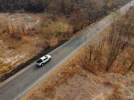 Arid yellow forest, The road in the forest was filled with trees blackened by forest fires. photo