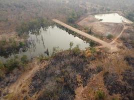 Arid yellow forest, The road in the forest was filled with trees blackened by forest fires. photo