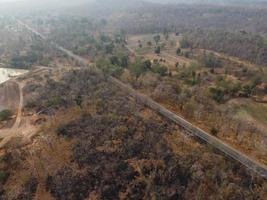 árido bosque amarillo, el camino en el bosque estaba lleno de árboles ennegrecidos por los incendios forestales. foto