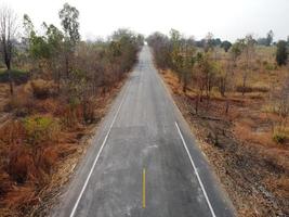 Arid yellow forest, The road in the forest was filled with trees blackened by forest fires. photo