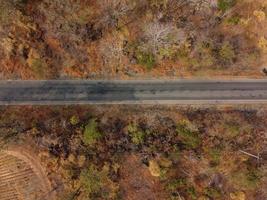 Arid yellow forest, The road in the forest was filled with trees blackened by forest fires. photo