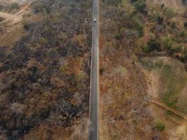 Arid yellow forest, The road in the forest was filled with trees blackened by forest fires. photo