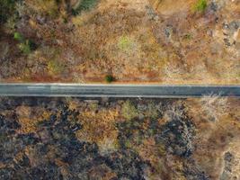 Arid yellow forest, The road in the forest was filled with trees blackened by forest fires. photo