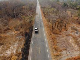 Arid yellow forest, The road in the forest was filled with trees blackened by forest fires. photo