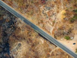 Arid yellow forest, The road in the forest was filled with trees blackened by forest fires. photo