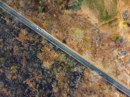 Arid yellow forest, The road in the forest was filled with trees blackened by forest fires. photo