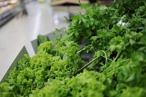 Fresh vegetables in supermarket are clearly marked with price tags. photo