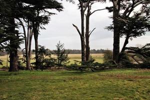 A view of the Shropshire Countryside at Attingham near Shrewsbury. photo