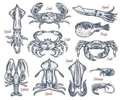 Seafood animal sketch set of fish and crustacean vector