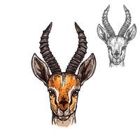 antílope, vector, bosquejo, icono, de, africano, salvaje, animal vector