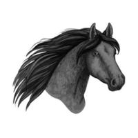 Horse animal muzzle vector sport sketch icon