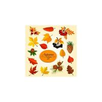 Autumn leaf, fruit and berry, fall season icon set vector
