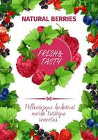 Vector poster of fresh garden berries