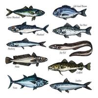 Fish, seafood sketch set with sea, ocean animal vector