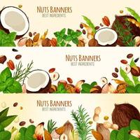 Vector banners of nuts and fruit seeds