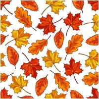 Autumn leaf seamless pattern background vector