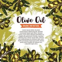 cartel de rama de olivo verde para el diseño de etiquetas de aceite vector