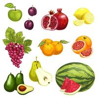 Vector flat icons of tropical exotic fruits