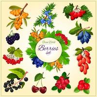 cartel de conjunto de frutas y bayas silvestres de vector
