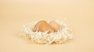 huevos de gallina en el nido foto