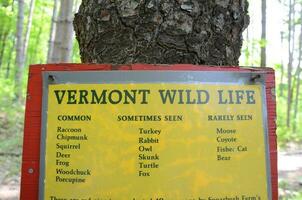 sign of Vermont wildlife posted on tree trunk photo