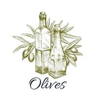 diseño de etiqueta de boceto de aceite de oliva con rama, fruta vector