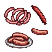 Grilled meat sausage and frankfurter sketch vector