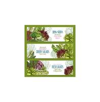 Salads leafy vegetables vector banners set