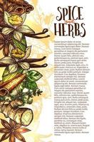 Vector sketch spices and herbs farm store poster