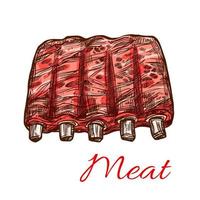 Pork or mutton fresh ribs vector meat sketch icon