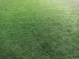 Green Grass Lawn of Sport Field photo