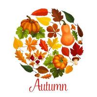 cartel de la temporada de otoño de hoja de otoño y calabaza vector