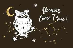 Poster with an owl, stars and the inscription Dreams Come True. Vector graphics.
