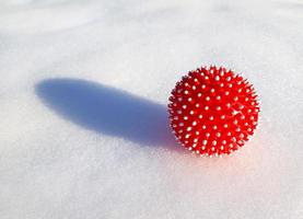 Red spiky ball similar to a corona virus lies on the snow surface. Winter sunny day, long shadows. Ball for dog or self massage. Place for text. photo