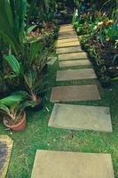 A pathway or walkway in a very lush garden with various plants. photo