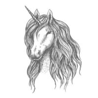 Unicorn head with mane vector sketch