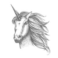 bosquejo del vector del caballo mítico del unicornio