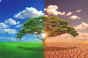 Comparative picture between drought, global warming effect and refreshing area. The concept of changing brushes. Love the world. Save the environment. photo