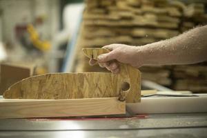 Wood processing. Chipping board. Manufacture of furniture. Joinery. Hand holds board. photo