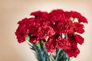 Red carnations. Flowers on background of wall. Beautiful bouquet. photo