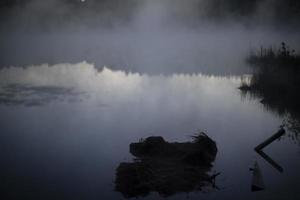 Lake in early morning. Lake and forest in fog. Details of nature in summer. photo