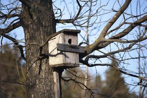 Tree house for birds. Place for feeding migratory birds. Object in park. Taking care of birds. photo