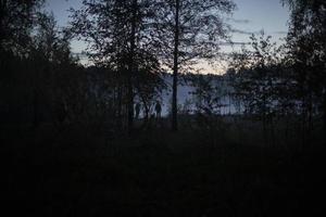 Forest at night. Fog on lake. Nature in early morning. photo